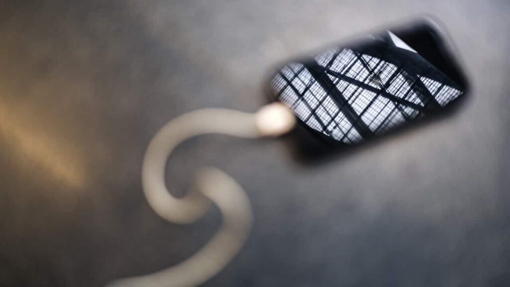 Si paling cepu Photo by Marek Piwnicki from Pexels